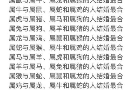 从生肖配对角度分析，属马和属猪的夫妻组合婚姻是否幸福