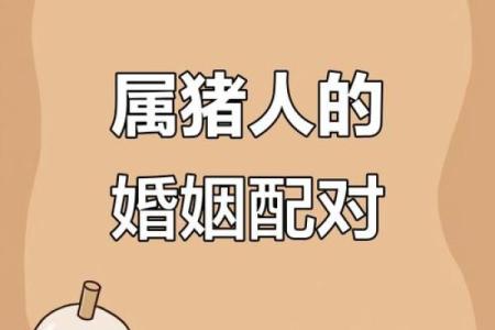 1995年属猪的人婚姻运势如何，适合与哪些生肖配对