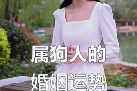 1994年狗年出生的女性头婚不顺，有哪些命理原因和改善方法？