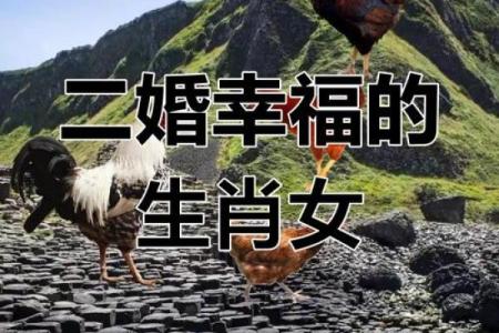 1981年出生的属鸡人二婚最佳年份和得把眼睛擦亮了有哪些？