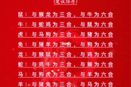 龙女婚配属相大揭秘：哪个生肖才是最佳伴侣？
