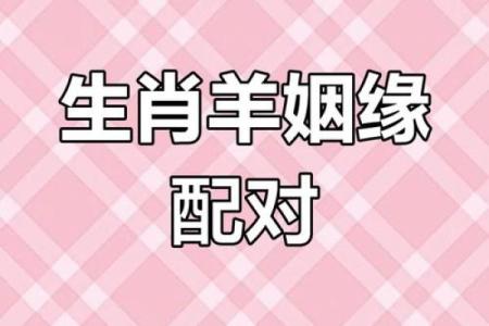 1991年属羊人婚配指南：哪些生肖最适合结婚？