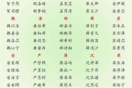 2025年蛇年男宝宝取名最佳配字推荐与寓意解析