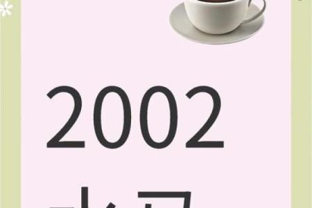 2002年出生的属马人哪一年结婚最好最吉利
