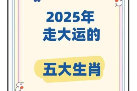 从生肖角度分析鼠男与虎女结合后的婚姻运势与发展趋势