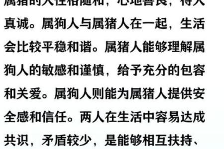 1994年属狗的最佳婚配属相是哪些，性格合吗