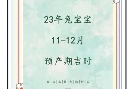 属兔出生几月最好 属兔几月出生好