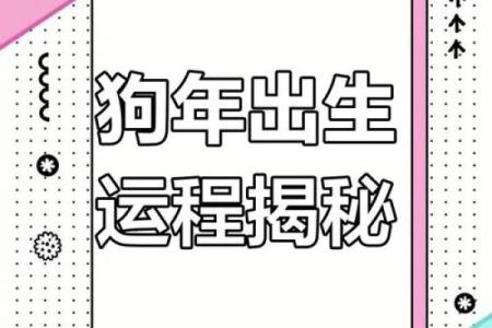 2025年属狗人运势详解及血光之灾的破解之道与得把眼睛擦亮了