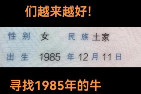 1985年属牛40岁婚姻运势如何会有感情危机出现吗