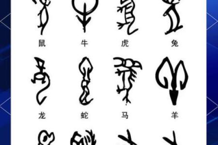 开路先锋在十二生肖中具体指代的是哪一个动物属相？