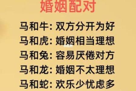 女狗男猪生肖配对婚姻是否幸福长久，需要注意哪些问题