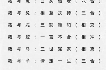 1995年属猪2025年正缘出现的具体月份和特征详解
