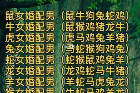 2004年属猴的人和什么属相结婚最幸福长久