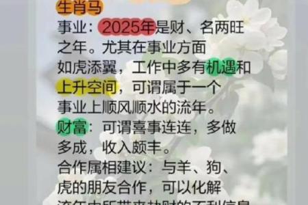 属马的人与什么生肖配对最合适，事业合作和感情发展都能顺利？