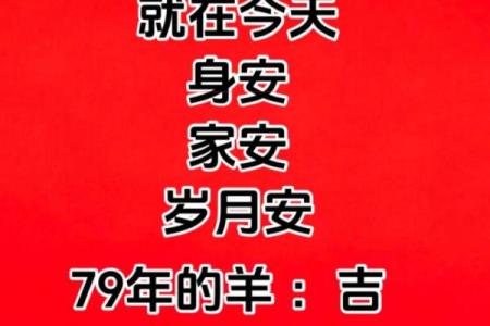 79年属羊人二婚最佳年龄是多少岁才能幸福