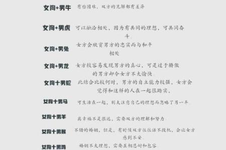 兔和狗属相婚配是否合适？解析传统生肖配对中的相合与相冲