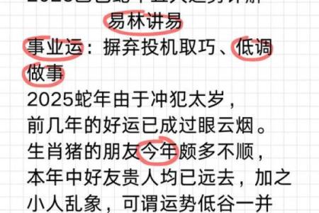 1995年出生的属猪人一生感情命运解析，何时会遇到正缘