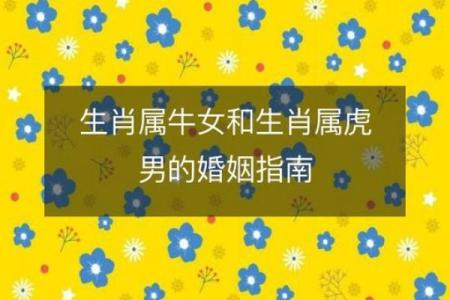 男牛女虎的婚姻配对真的合适吗？从性格角度分析优缺点