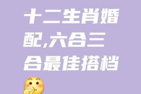 属猴的人最佳婚配属相是哪些，如何选择最适合的伴侣