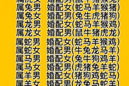 85年最佳婚配属相 85年最佳婚配属相是什么