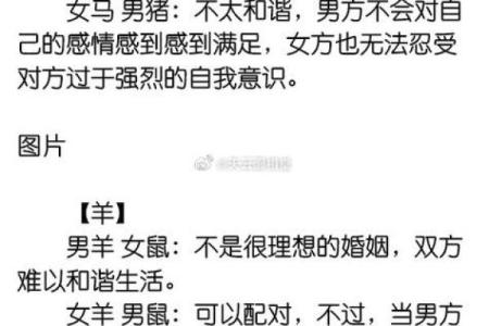 属龙和属马的夫妻姻缘配对指数高吗？实际生活案例分享