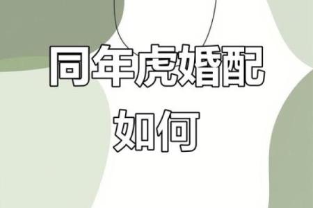属虎和属虎的夫妻组合，在传统婚配中是否会有冲突？