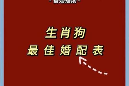属狗的人婚姻配对最佳生肖是哪些，如何避免相冲相克？