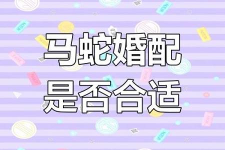 属蛇男和什么属相最配？揭秘最佳婚配组合与性格解析