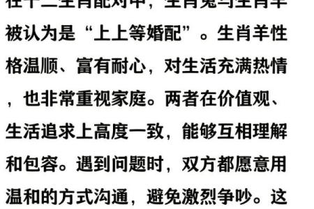 属马和属羊的生肖配对在爱情中是否合适？详细分析