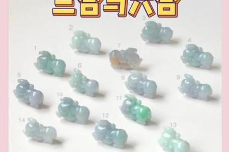 从生肖配对角度分析，属虎和什么属相最配才能婚姻幸福长久