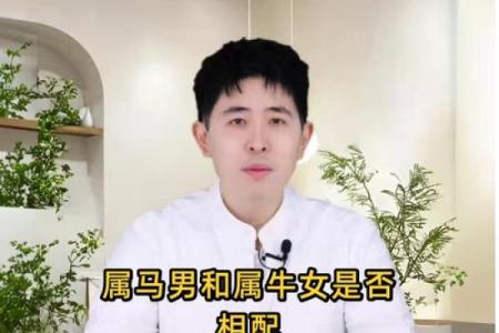 属马的男人适合找什么样的女人结婚才能幸福长久