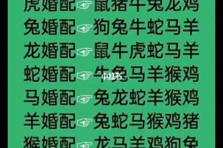 从生肖角度分析男猴女猪的婚配优缺点，最终会幸福吗
