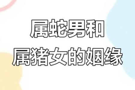 属蛇与属猪的婚姻组合在传统生肖配对中是否被视为吉利？