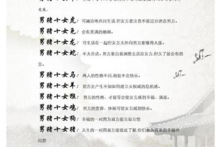 1995年属猪女的正缘何时出现，具体年份和月份解析