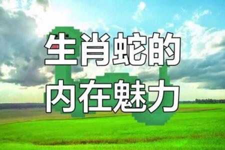 2001年出生的蛇生肖男哪一年会遇到婚姻好时机
