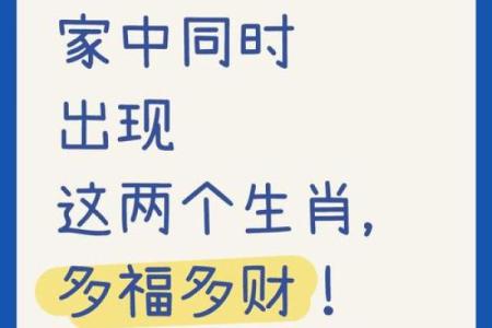 龙和牛在一起谁带财？风水大师解析生肖配对财运影响