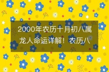 2000年属龙男孩最佳婚配年份与姻缘运势解析