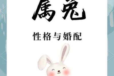 1999年属兔男最佳婚配属相和禁忌婚配属相详解