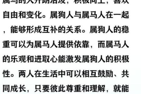 属狗的人与哪个生肖结婚最幸福长久，配对指数分析