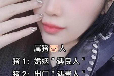 属狗的人和属猪的人结婚后需要注意哪些相处细节