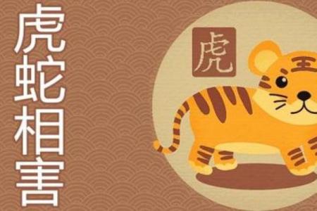 属虎和属蛇的婚姻配对是否合适？解析虎蛇生肖婚配的优缺点