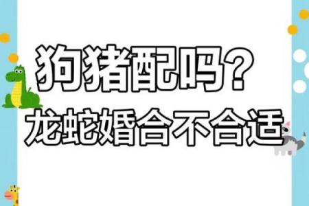 属狗女和属猪男的婚姻相配吗，性格合不合会不会经常吵架