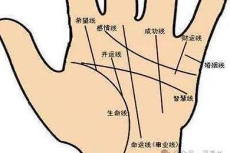 一般人是无名指长还是食指长 大多数人是无名指长还是食指长