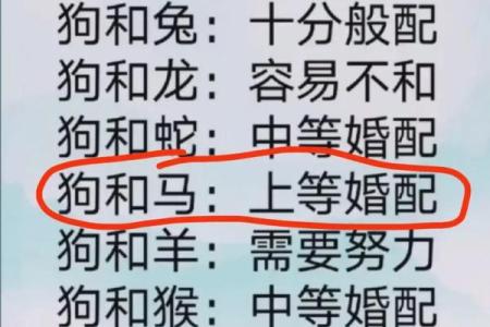 女狗和什么属相的男性结婚最幸福美满？