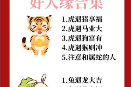 从生肖配对角度分析，猪和什么属相合作共事最容易成功？