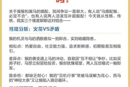属猴和属猪的婚姻是否幸福？解析性格差异与相处之道