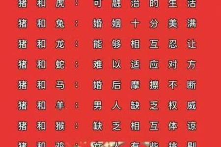 男属猪女属狗婚配是否相合？解析生肖配对中的性格与运势关键点
