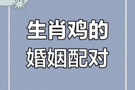 属鼠跟属鸡的合不合 鼠与鸡相生还是相克