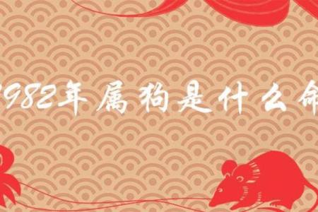 属狗的人在2025年具体年龄是多少岁，如何计算虚岁和周岁？