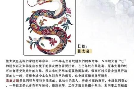 属相配对中龙女与蛇男的婚姻运势是否相合？